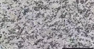 东莞 芙蓉白（芝麻白大花）火烧面