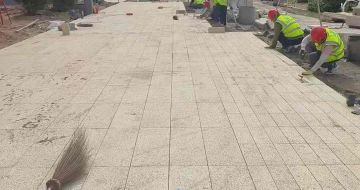 东莞黄金麻荔枝面地铺案例