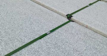 东莞 芝麻白斧剁面