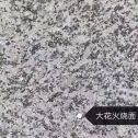 东莞 芙蓉白（芝麻白大花）火烧面