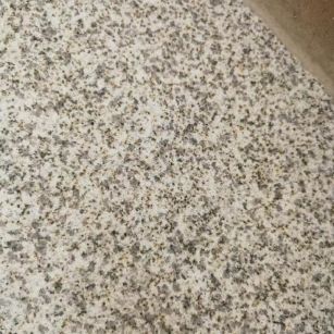 东莞 黄金麻中黄光面