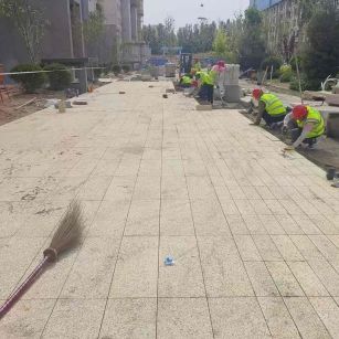 东莞黄金麻荔枝面地铺案例