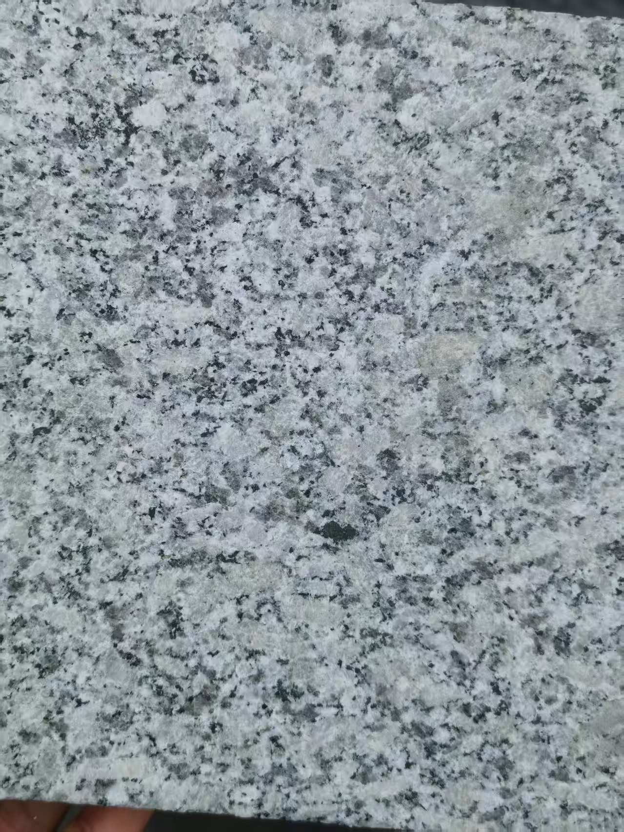 东莞 芙蓉白火烧面
