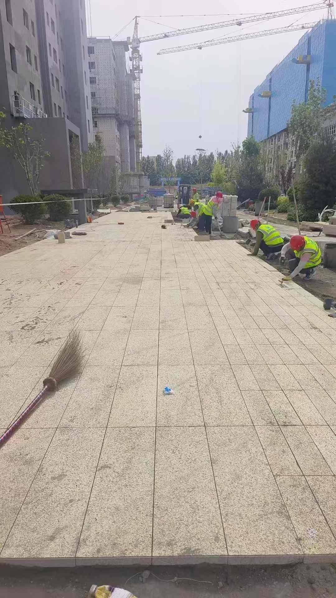 东莞黄金麻荔枝面地铺案例