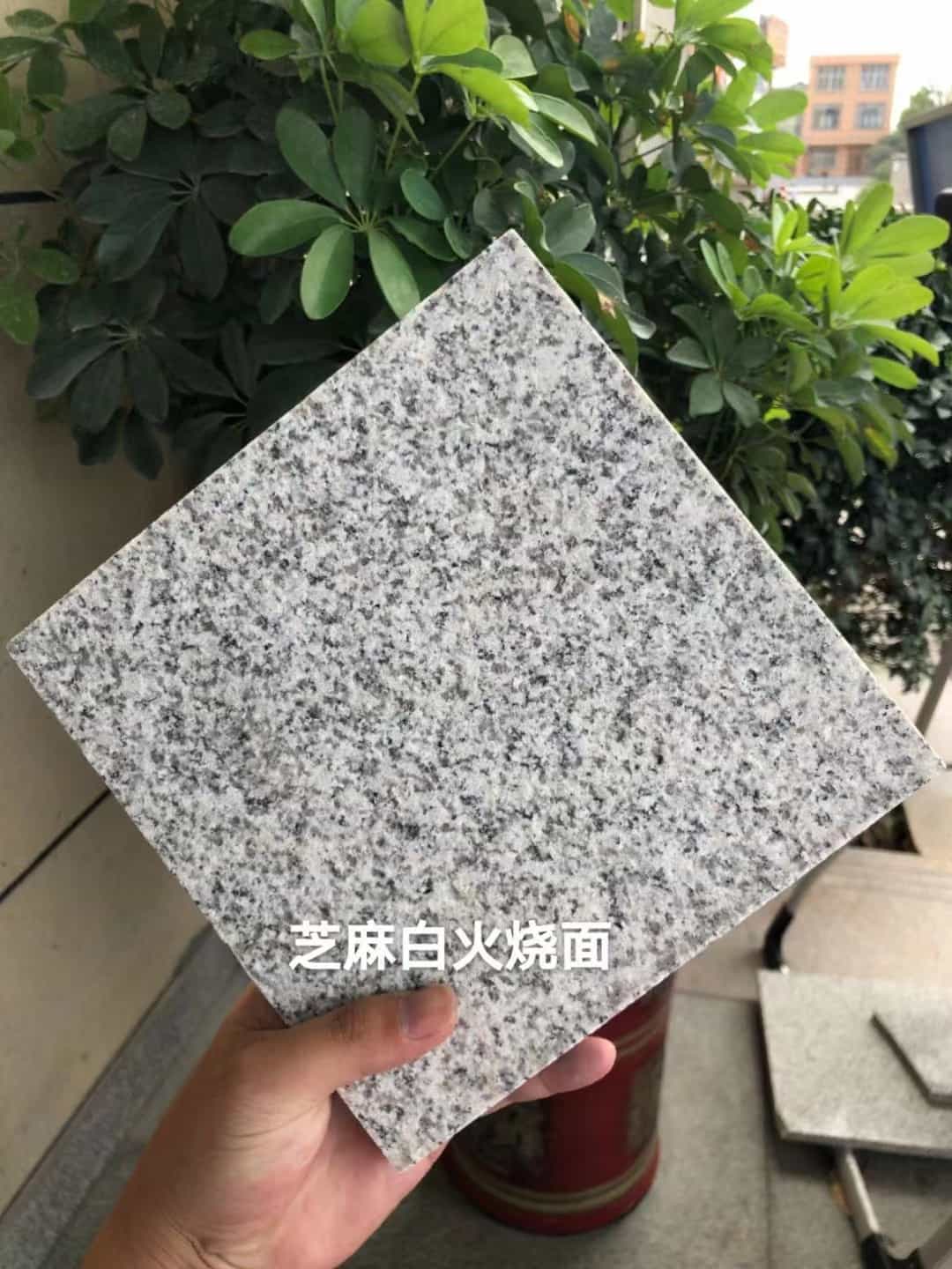 东莞芝麻白火烧面地铺