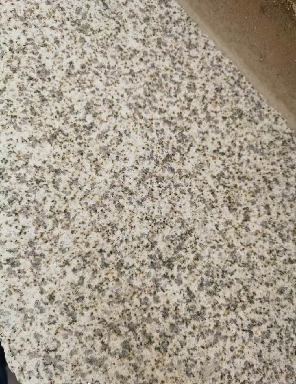 东莞 黄金麻中黄光面